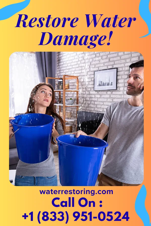 water restoration North Restoration Pros Climax